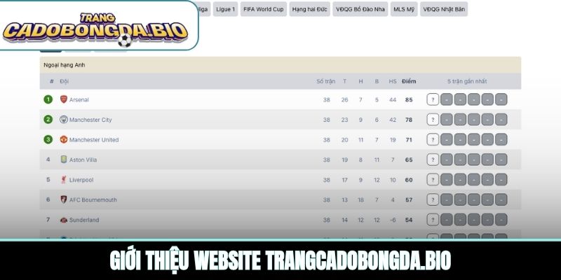 Giới thiệu website lonilandon.com